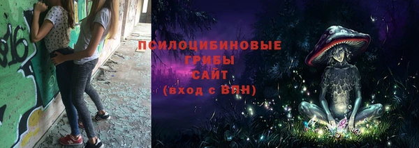 винт Баксан
